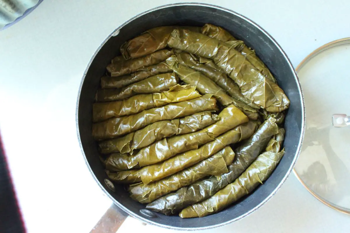 Grape Leaves Recipe with rolled grapes, layered neatly into a pot.