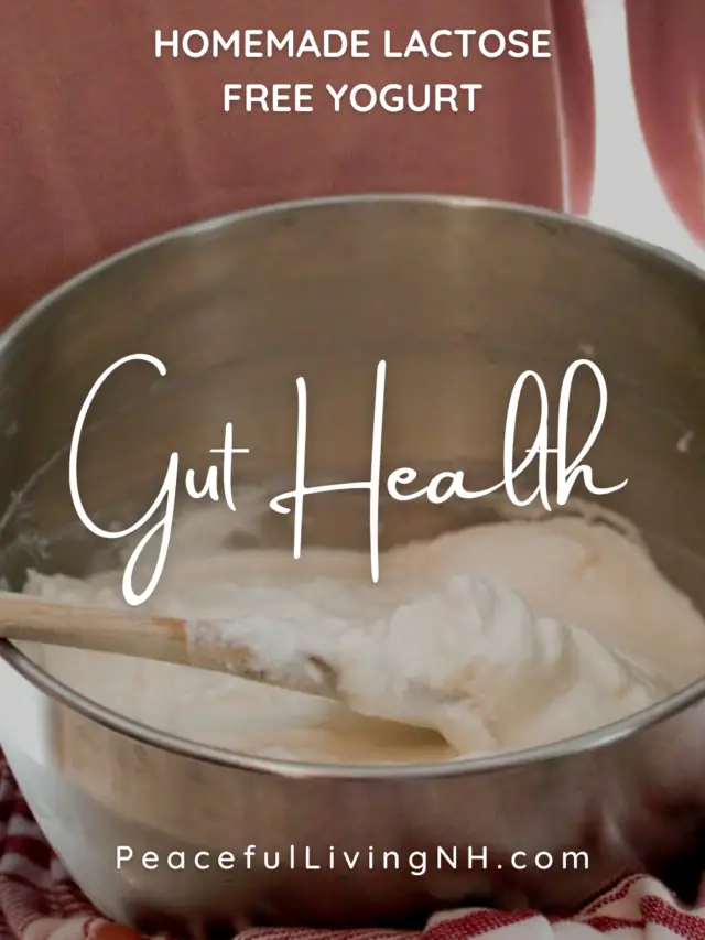 cropped-How-to-make-lactose-free-Yogurt-Pinterest.png