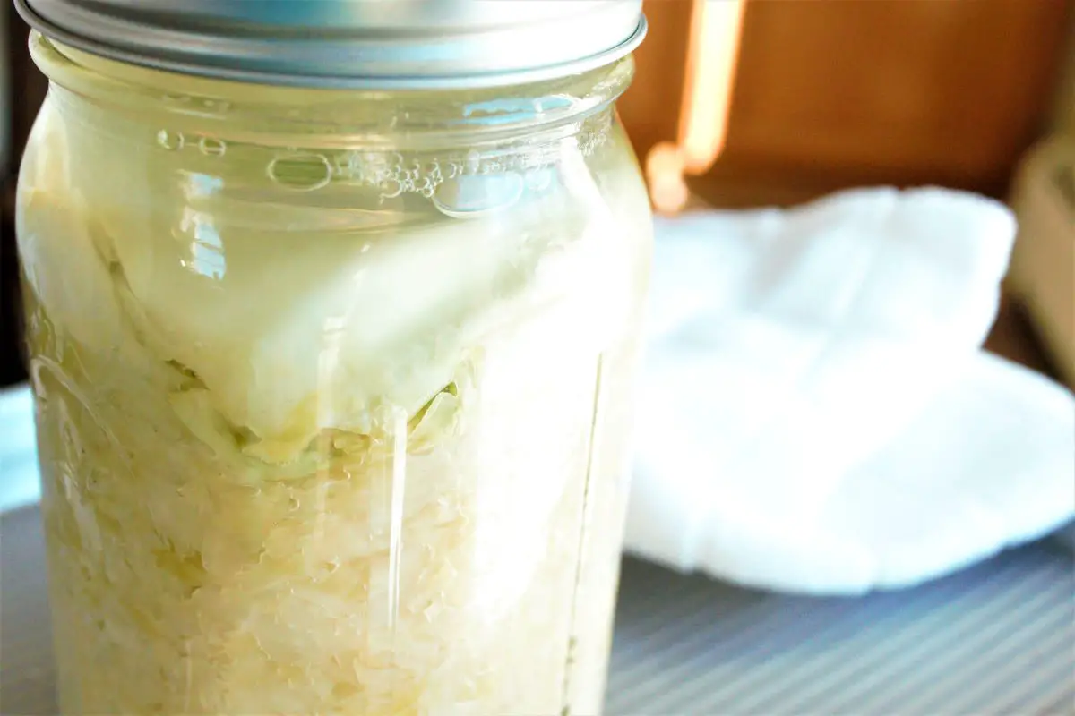 Sauerkraut in a mason jar, Over s cookie sheet. A kitchen towel lays on the upper right corner of the cookie sheet.